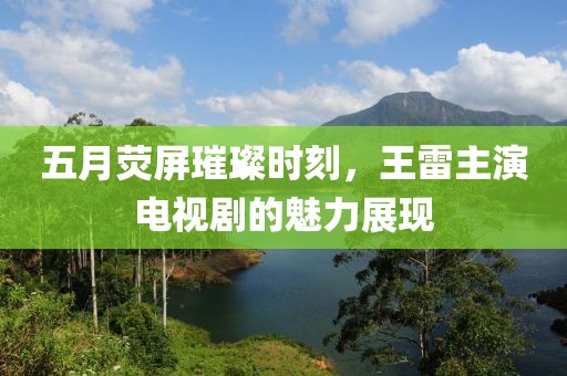五月熒屏璀璨時刻，王雷主演電視劇的魅力展現