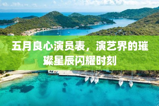五月良心演員表，演藝界的璀璨星辰閃耀時刻