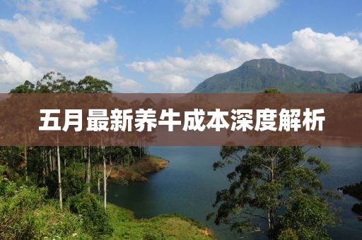 五月最新養牛成本深度解析