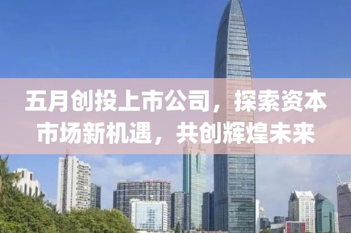 五月創(chuàng)投上市公司，探索資本市場(chǎng)新機(jī)遇，共創(chuàng)輝煌未來(lái)