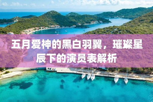 五月愛神的黑白羽翼，璀璨星辰下的演員表解析