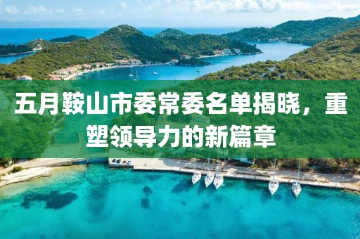 五月鞍山市委常委名單揭曉，重塑領(lǐng)導(dǎo)力的新篇章
