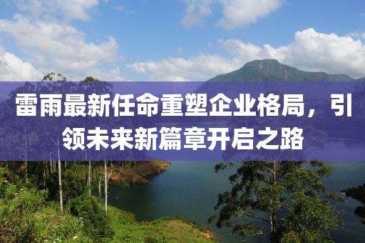 雷雨最新任命重塑企業格局，引領未來新篇章開啟之路
