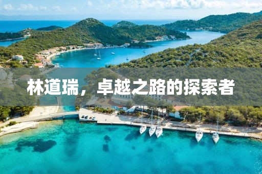 林道瑞，卓越之路的探索者