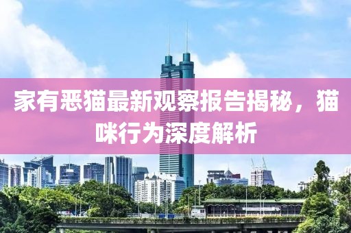 家有惡貓最新觀察報告揭秘，貓咪行為深度解析