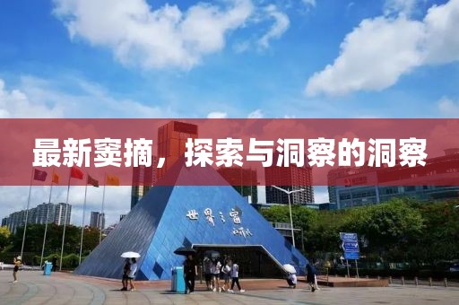 最新竇摘，探索與洞察的洞察