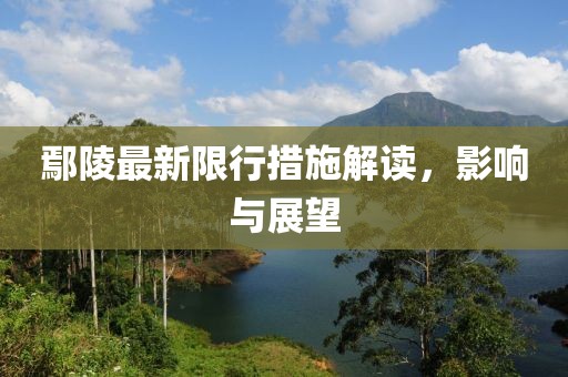 鄢陵最新限行措施解讀，影響與展望