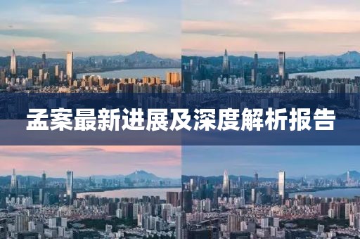 孟案最新進展及深度解析報告