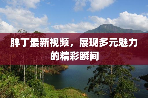 胖丁最新視頻，展現多元魅力的精彩瞬間
