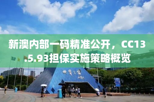新澳內部一碼精準公開，CC13.5.93擔保實施策略概覽