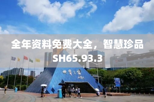 全年資料免費大全，智慧珍品SH65.93.3
