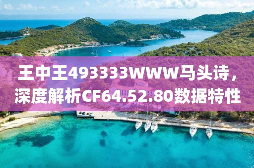 王中王493333WWW馬頭詩，深度解析CF64.52.80數據特性