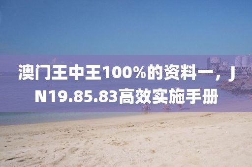 澳門王中王100%的資料一，JN19.85.83高效實施手冊