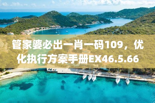 管家婆必出一肖一碼109，優化執行方案手冊EX46.5.66
