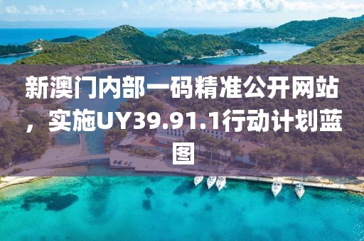 新澳門內(nèi)部一碼精準(zhǔn)公開網(wǎng)站，實(shí)施UY39.91.1行動計劃藍(lán)圖
