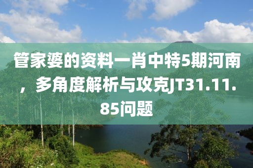 管家婆的資料一肖中特5期河南，多角度解析與攻克JT31.11.85問(wèn)題