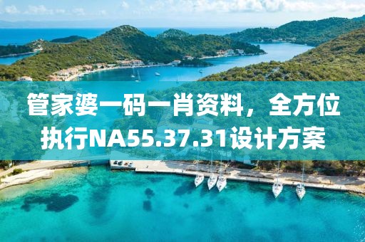 管家婆一碼一肖資料，全方位執行NA55.37.31設計方案