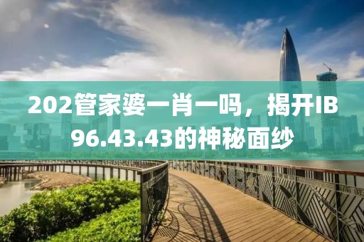 202管家婆一肖一嗎，揭開IB96.43.43的神秘面紗