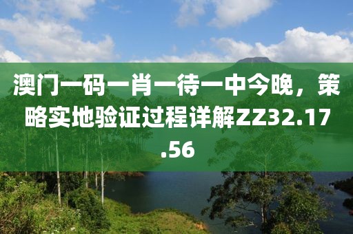 澳門一碼一肖一待一中今晚，策略實地驗證過程詳解ZZ32.17.56