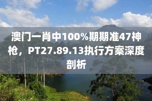 澳門一肖中100%期期準47神槍，PT27.89.13執行方案深度剖析