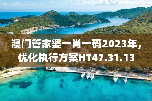 澳門管家婆一肖一碼2023年，優化執行方案HT47.31.13