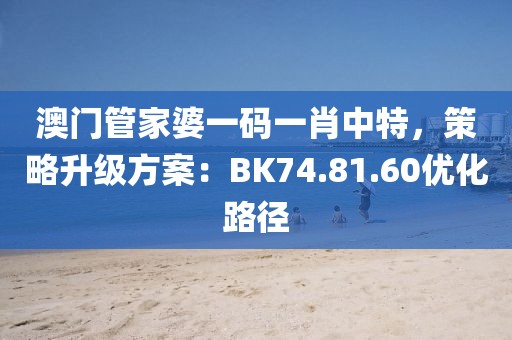 澳門管家婆一碼一肖中特，策略升級方案：BK74.81.60優化路徑