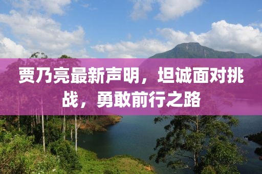 賈乃亮最新聲明，坦誠面對挑戰，勇敢前行之路
