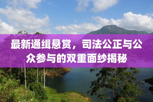 最新通緝懸賞，司法公正與公眾參與的雙重面紗揭秘