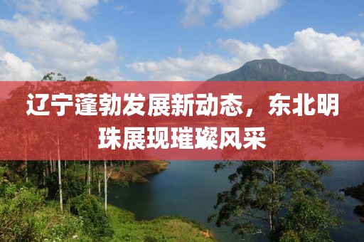 遼寧蓬勃發(fā)展新動(dòng)態(tài)，東北明珠展現(xiàn)璀璨風(fēng)采