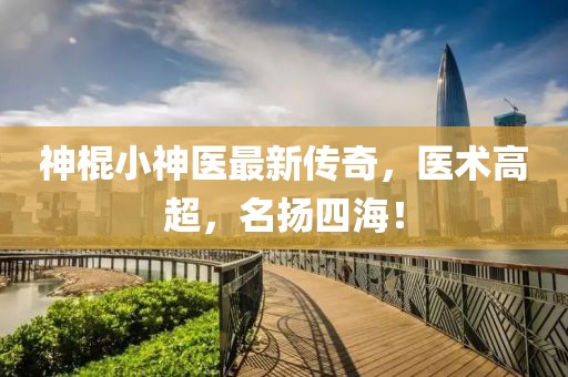 神棍小神醫(yī)最新傳奇,醫(yī)術(shù)高超,名揚四海!