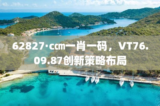 62827·c㎝一肖一碼，VT76.09.87創新策略布局