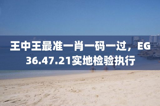 王中王最準一肖一碼一過，EG36.47.21實地檢驗執行