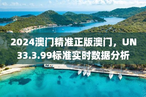 2024澳門精準正版澳門，UN33.3.99標準實時數據分析