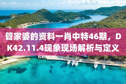 管家婆的資料一肖中特46期，DK42.11.4現象現場解析與定義