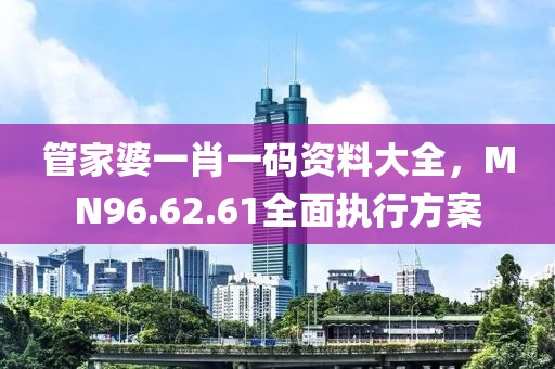 管家婆一肖一碼資料大全，MN96.62.61全面執行方案