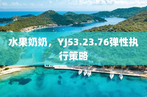 水果奶奶，YJ53.23.76彈性執行策略