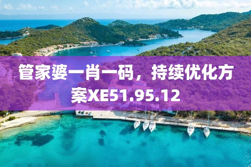 管家婆一肖一碼，持續(xù)優(yōu)化方案XE51.95.12