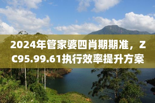 2024年管家婆四肖期期準(zhǔn)，ZC95.99.61執(zhí)行效率提升方案
