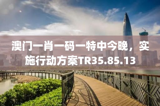 澳門一肖一碼一特中今晚，實施行動方案TR35.85.13