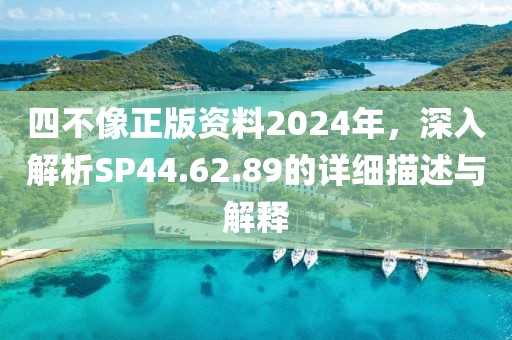 四不像正版資料2024年，深入解析SP44.62.89的詳細(xì)描述與解釋