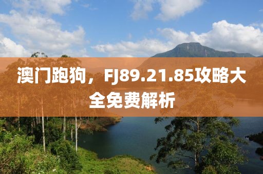 澳門跑狗，FJ89.21.85攻略大全免費解析