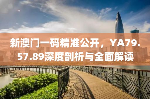 新澳門一碼精準公開，YA79.57.89深度剖析與全面解讀