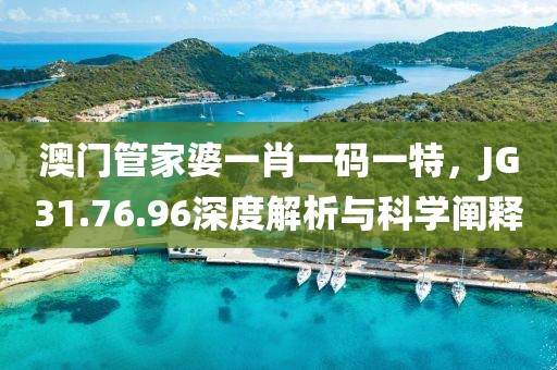 澳門管家婆一肖一碼一特，JG31.76.96深度解析與科學(xué)闡釋
