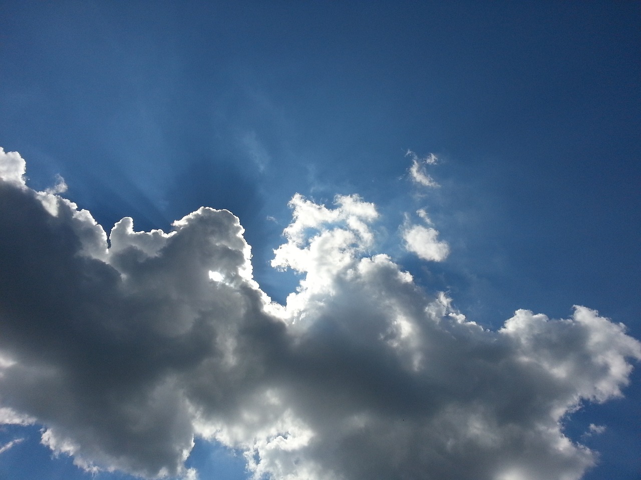 葉子鵬的最新動態與成就概覽