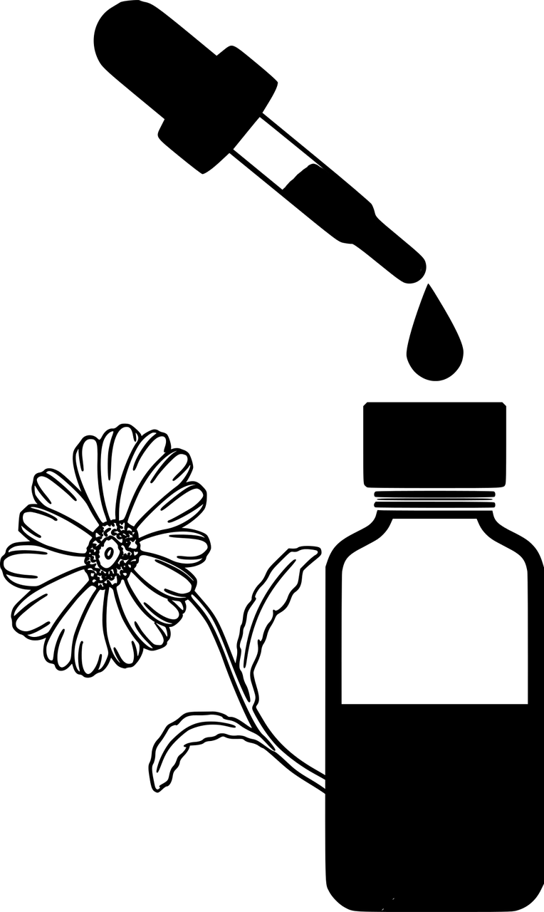 探索自然之美與藝術(shù)之力，絲瓜影最新動態(tài)報道
