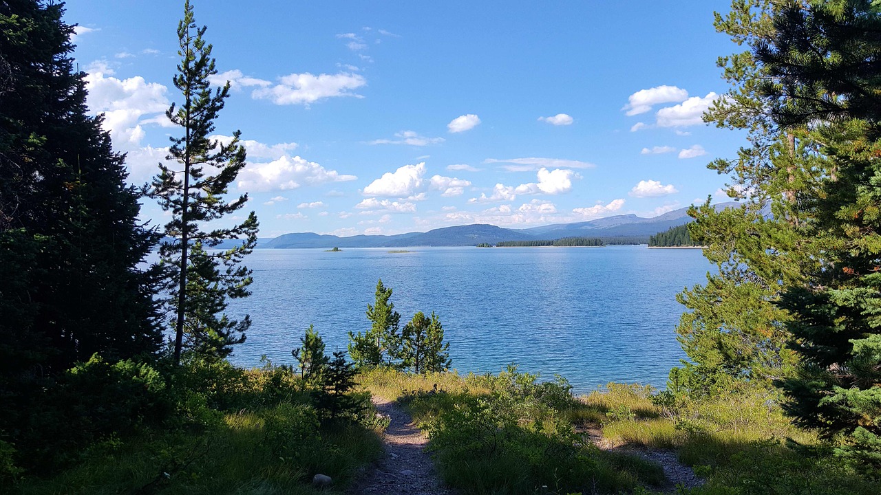 無罪國度的最新探索與挑戰,前沿動態與面臨的挑戰