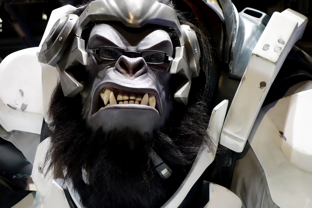 最新王者版本,游戲變革與玩家體驗的全面升級