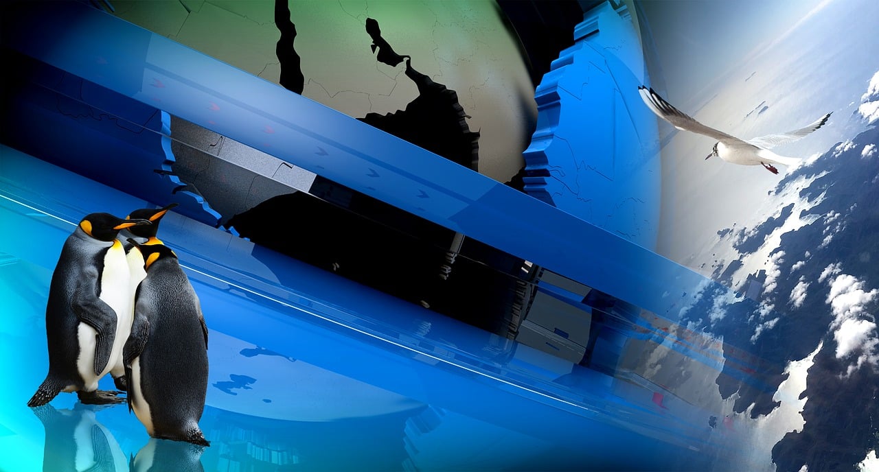 最新影庫網(wǎng),探索電影的魅力世界