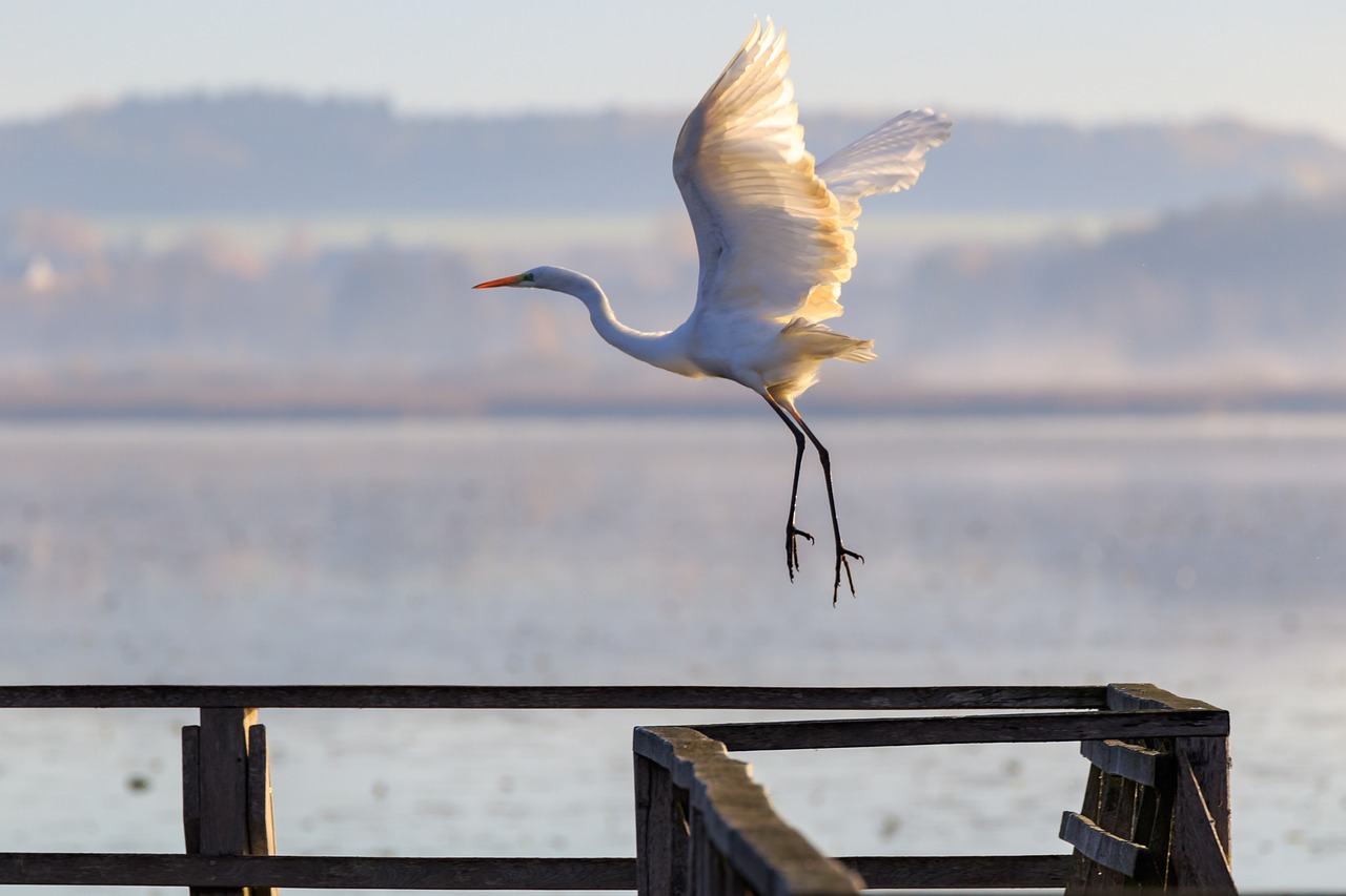 全球最新新聞動態(tài)概覽與熱點解析