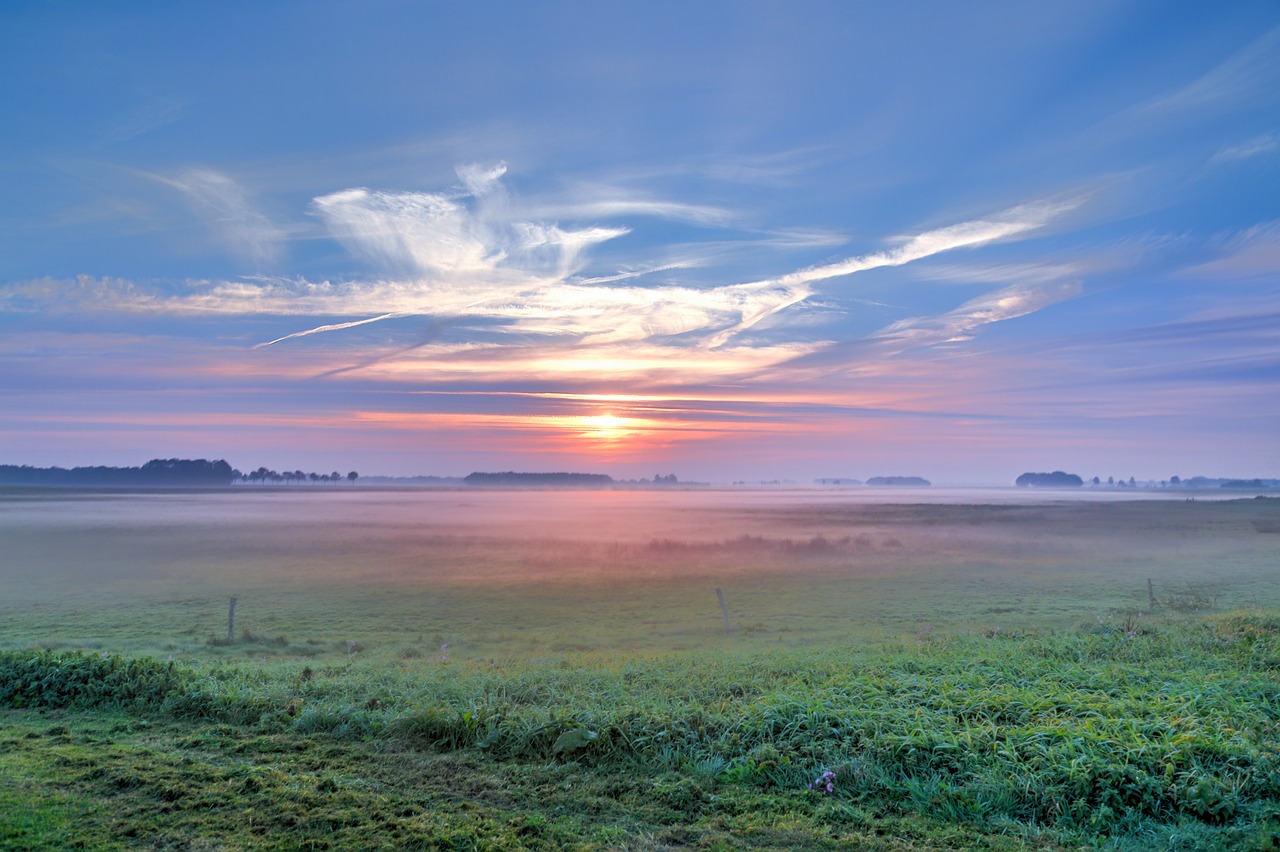 國藥集團最新資訊概覽,最新動態與進展
